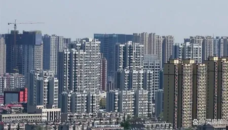 奔走相告（房价下跌对社会的影响）房价大幅度下跌带来的社会现象，(图1)